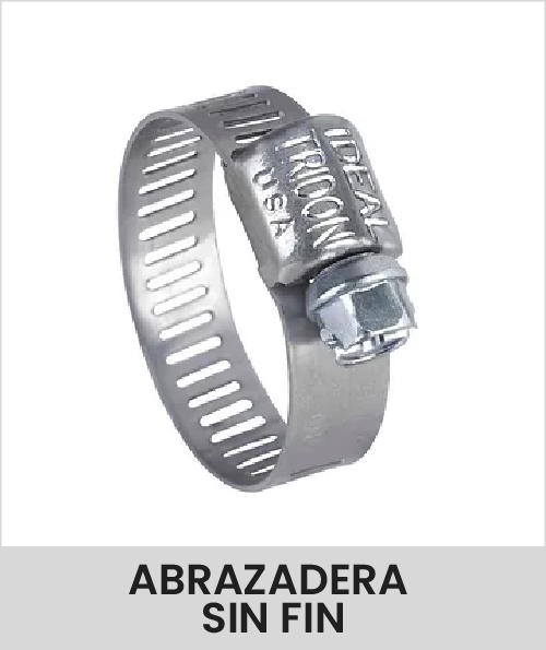 Descripción de la imagen